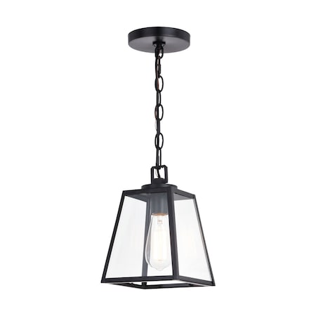 Grant 7-in Black Indoor Outdoor Farmhouse Mini Pendant Lantern 1-Light